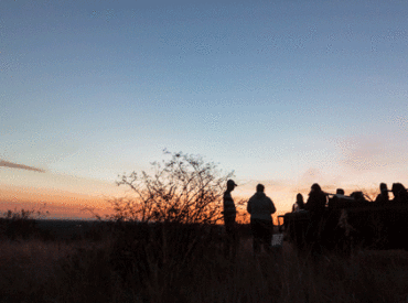   At Africa on Foot every morning begins with a walk on the Klaserie soil. Led by 2 guides with rifles, guests trek through the grassy woodlands discovering what animals have left behind the night before. Tracks and signs of the bush tell stories of fights in the night, and the territorial ownership of the […]