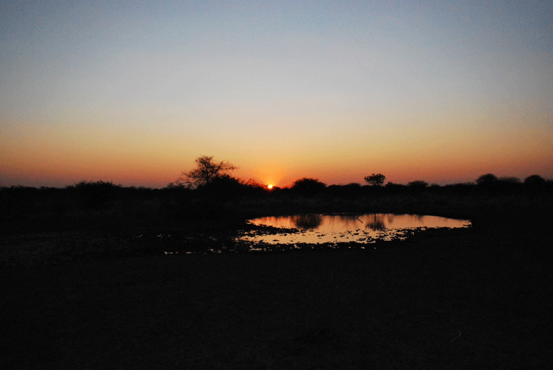 Kalahari sunset.