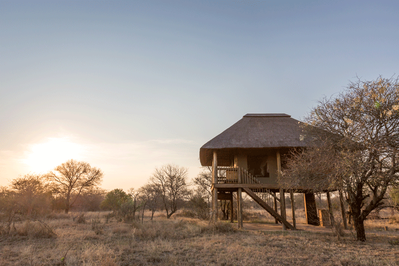 nThambo's luxury treehouse-style accommodation. Image by Em Gatland.