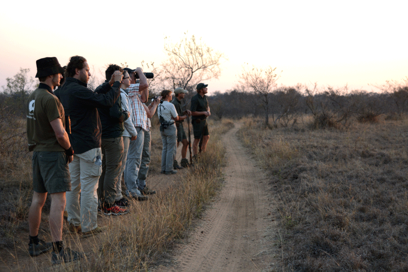Setting out for a walking safari at dawn into the Klaserie Big 5 reserve.