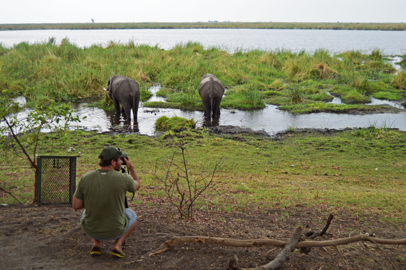 Photographer, Kevin MacLaughlin, capturing footage of the elephants as they moved through our campsite at Camp Linyanti. 