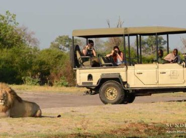 This is one of those things you would only hear about in Africa, where rumours of pet elephants and lions in the garden circulate the globe. We landed with Major Blue Air in the blissfully jolty fashion that shook us out of a mesmerised state after having flown over this epic World Heritage Site in […]