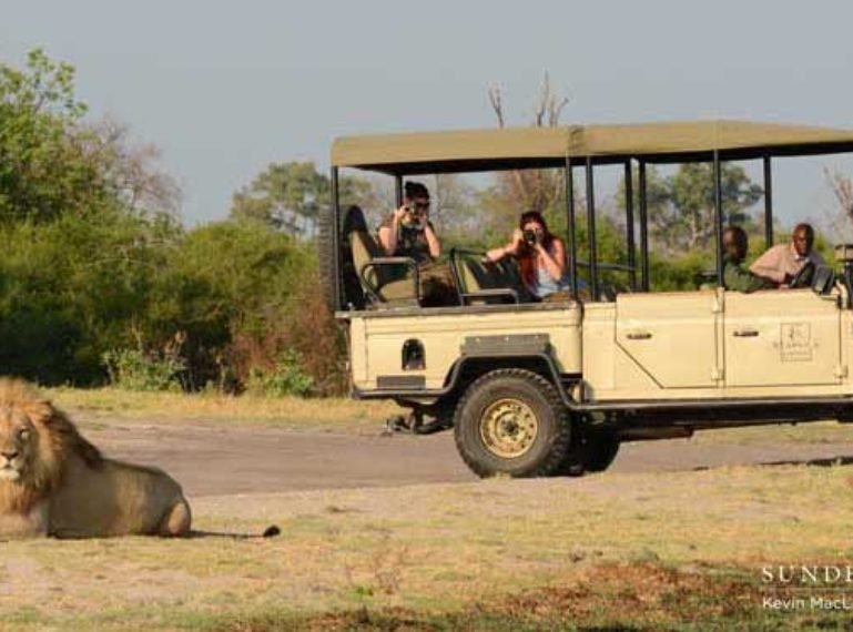 Hold the air traffic – there’s a lion on the airstrip!