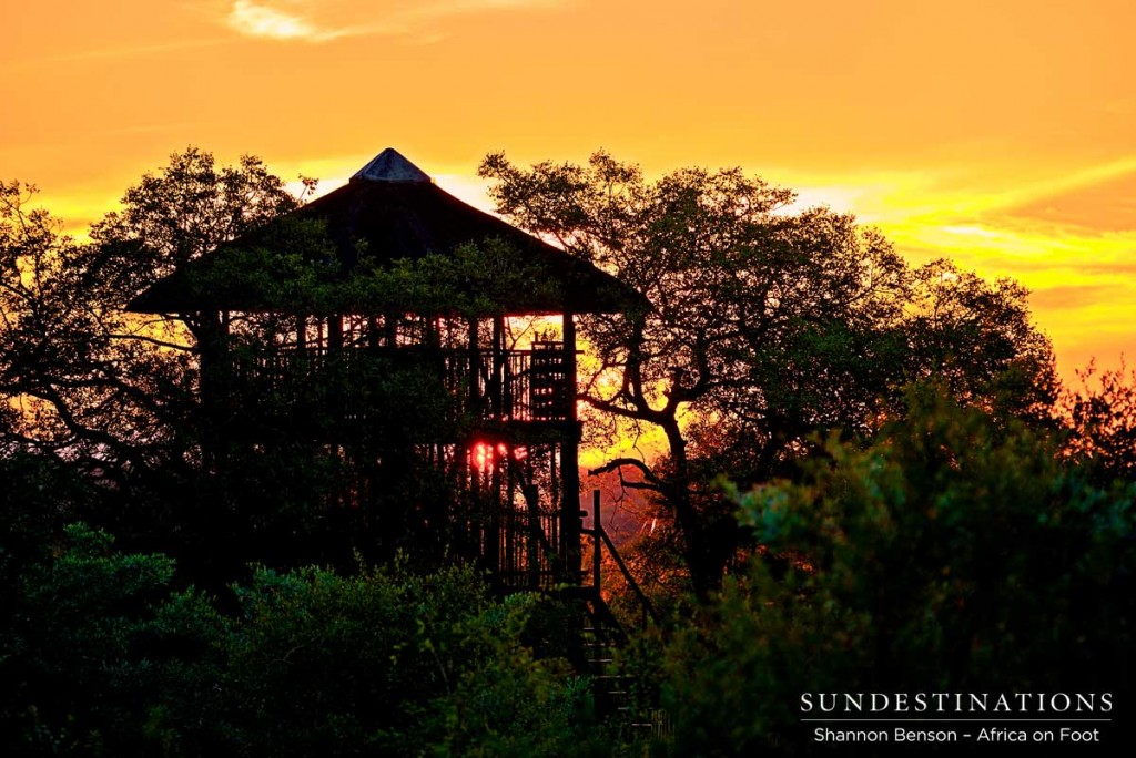 Sunset in the Klaserie silhouetting the tree house