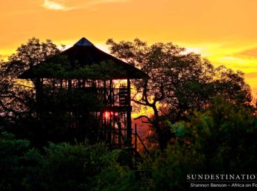 Tree houses were designed for kids, to evoke their innermost imaginations and to create fantastical stories. And to keep them busy for hours on end while G n Ts go down for the grown ups in the garden! A fortress built in the trees, a lookout loft, a secret place for tea-parties, or an exclusive hangout with […]