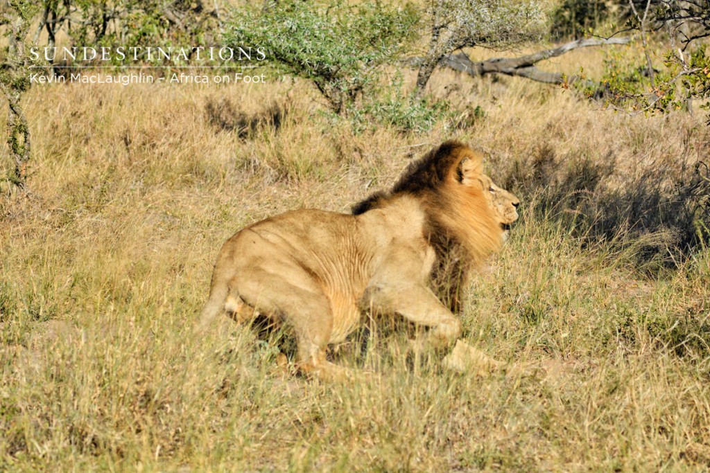 Trilogy male gets aggressive