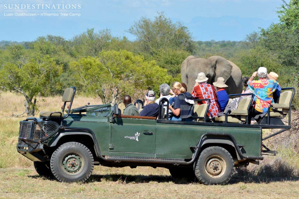 Elephants in the open area in front of nThambo Tree Camp