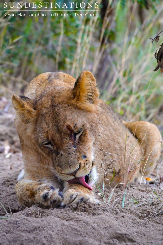 Post-meal clean up