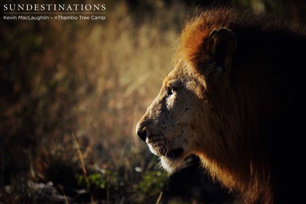 Profile of heavily scarred Trilogy male