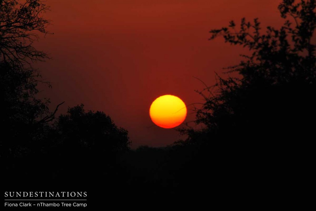 A typical Kruger sunset seen at nThambo Tree Camp