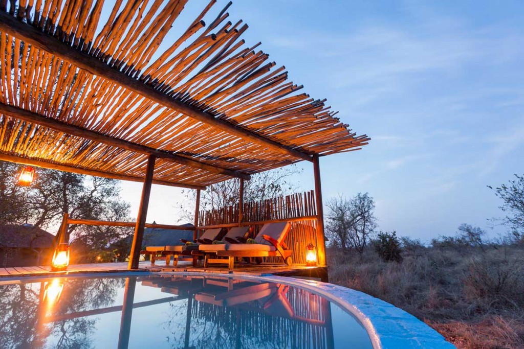 Swimming pool frequented by elephants at Africa on Foot