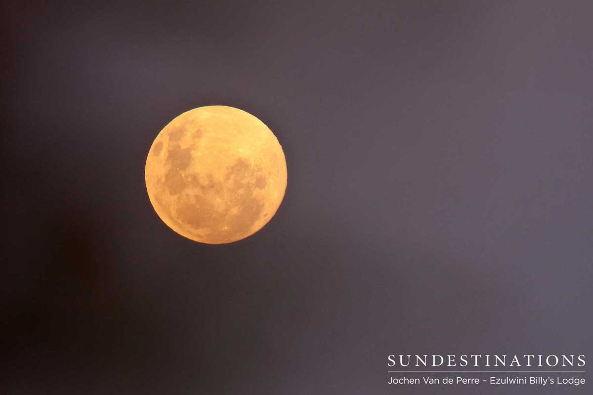 Full moon of over Greater Kruger