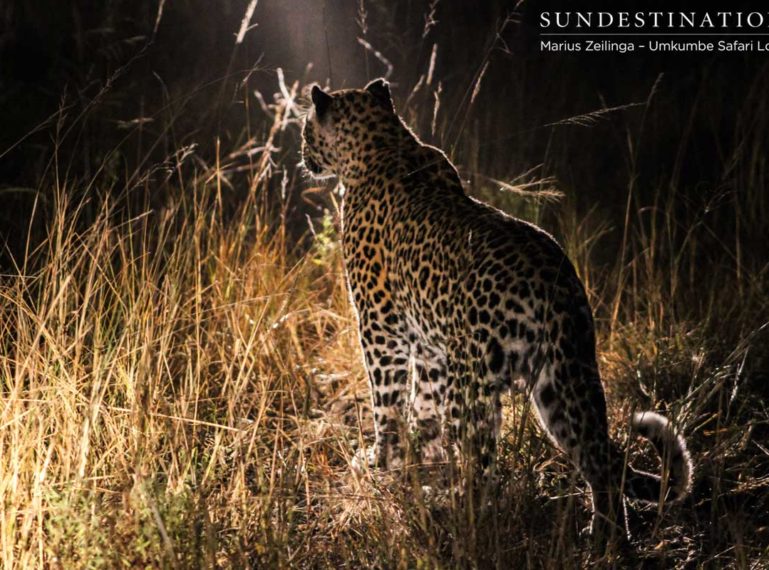 Week in Pictures: Our Incredible Kruger
