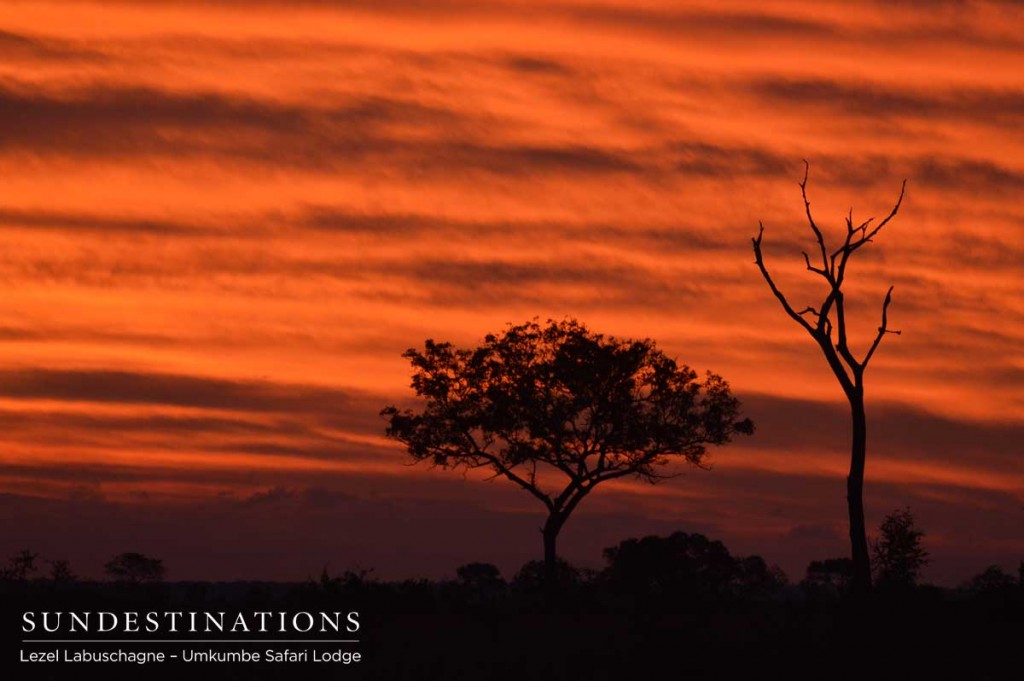 Blood orange sky in the Sabi Sand