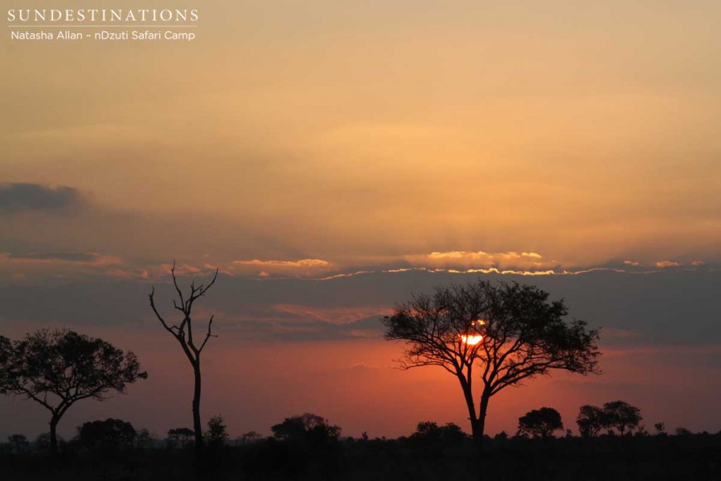 A burning sunset on the nDzuti horizon