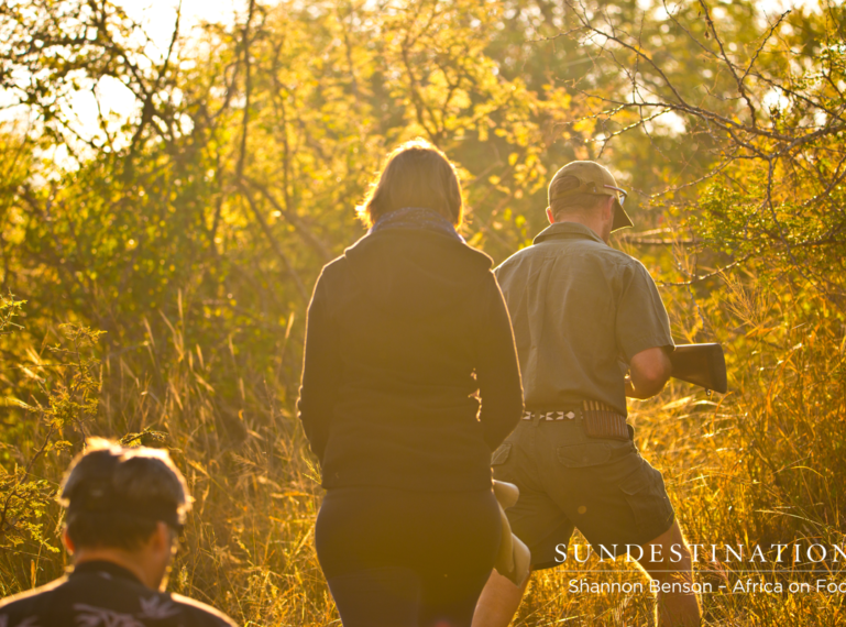 Kruger Walking Safari : Top 5 Highlights