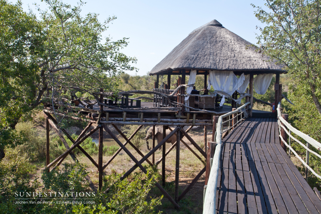 Viewing Deck and Elephants