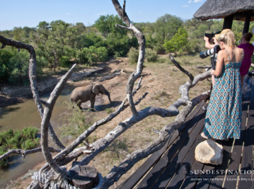 Located on a seasonal riverbed that attracts a plethora of elephant and buffalo herds, lies Ezulwini Billy’s Lodge. Welcome to the Balule Nature Reserve, where the big five roam freely between the Balule and the Kruger National Park which shares unfenced borders with the reserve. Billy’s Lodge has taken advantage of its position on the […]