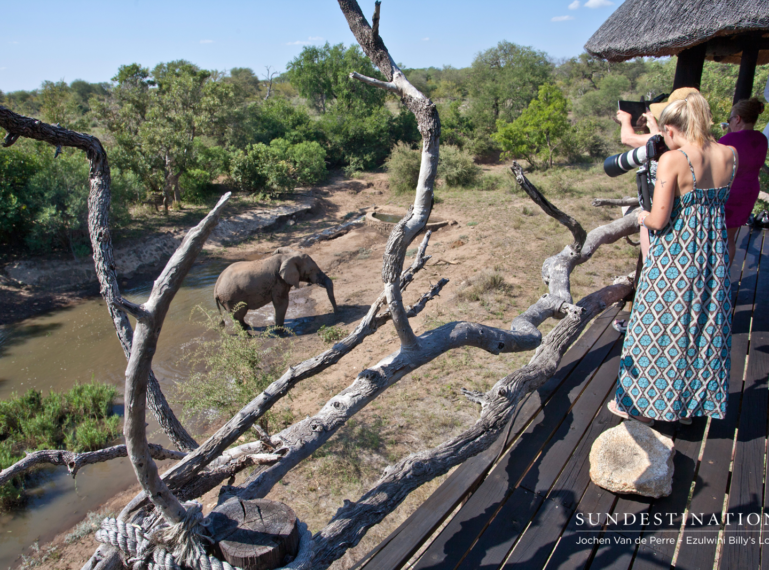 Ezulwini Billy’s Lodge: Wildlife Central at the Waterhole