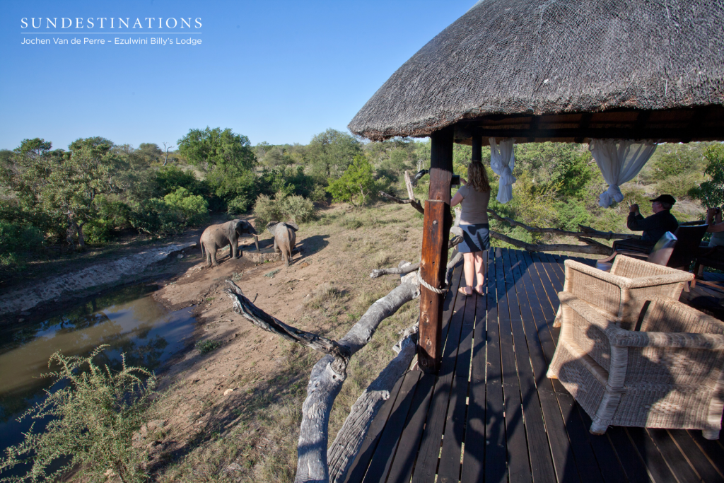 Billy's Lodge viewing deck