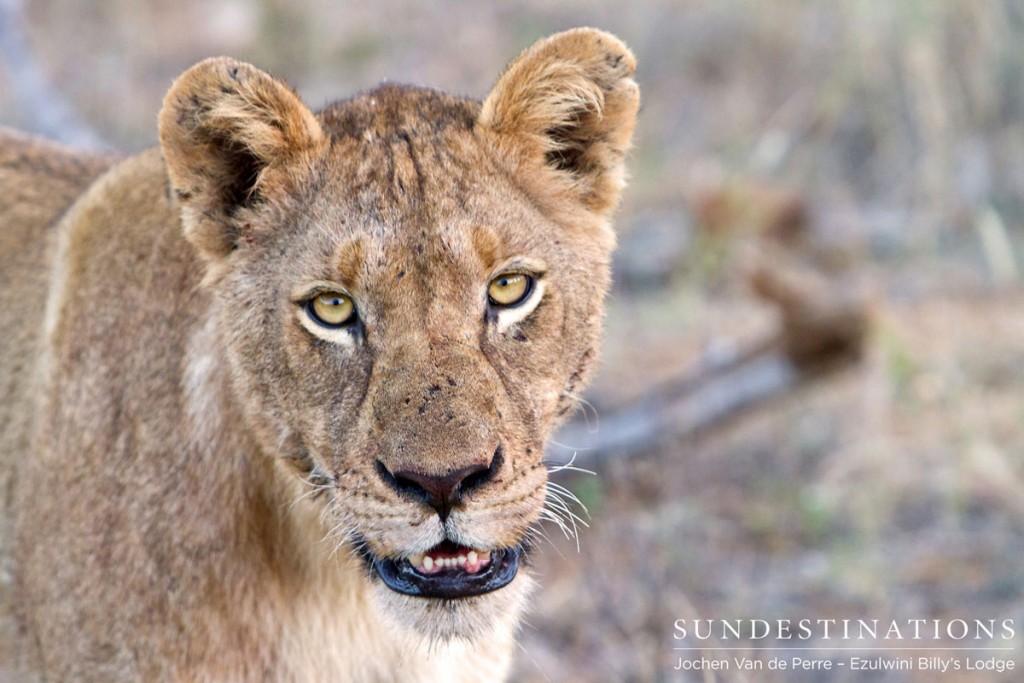 River pride portrait