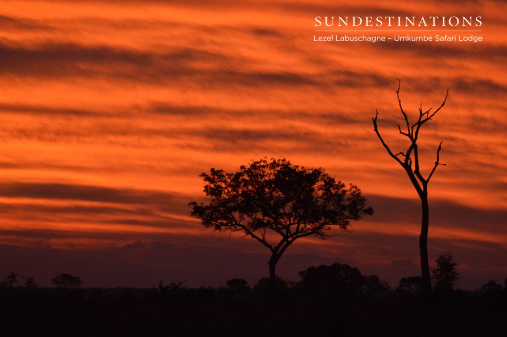 Kruger Sunset
