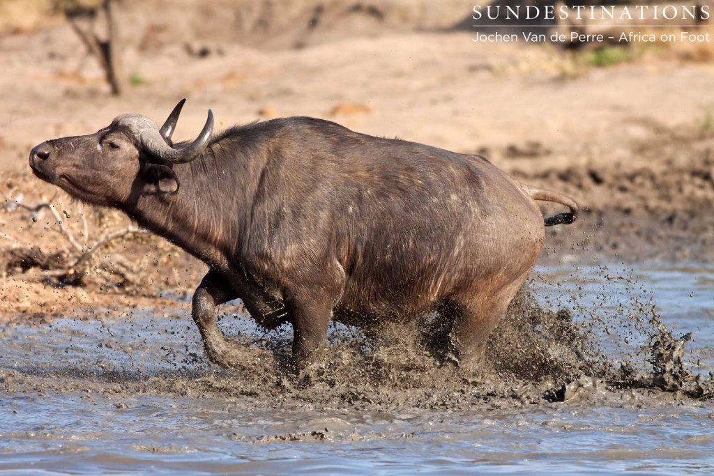 Running through the mud