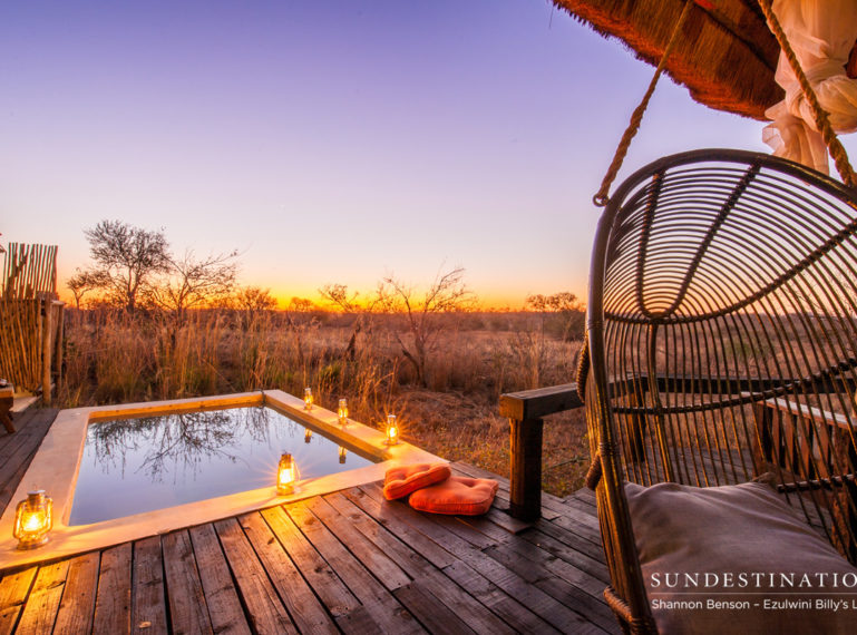 Top 5 Reasons to Stay at the Ezulwini Game Lodges
