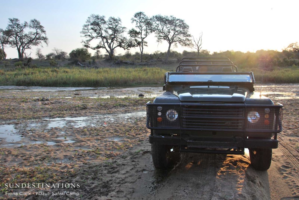 nDzuti game viewer in the riverbed