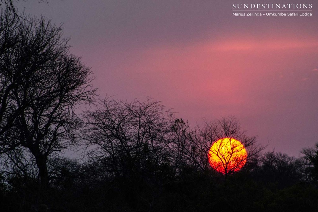 Sunset over the Sabi Sand