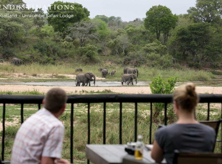 Top 5 Reasons to Stay at Umkumbe Safari Lodge