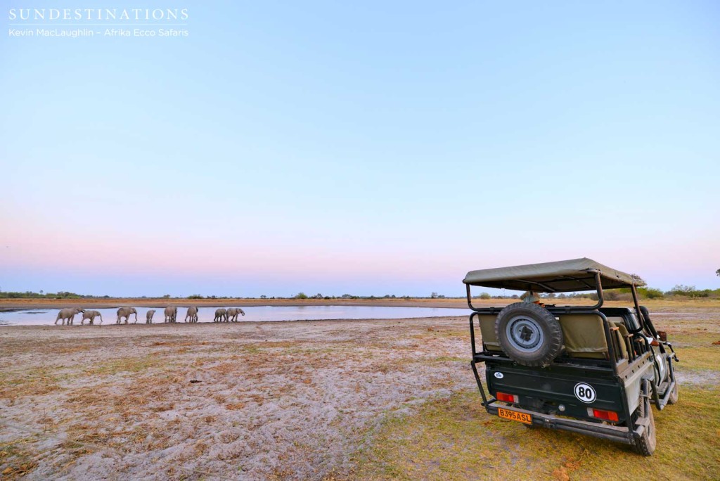 Elephants arrive at the waterhole