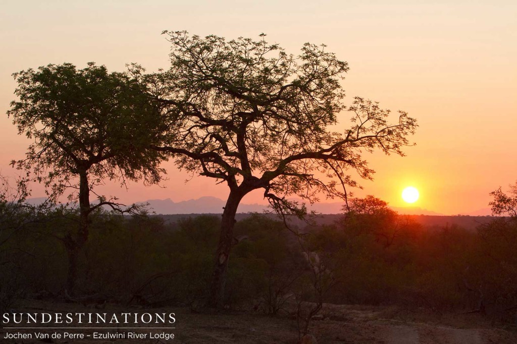 Sun setting on the horizon at Balule