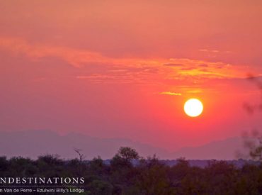 Some people look forward to sundowners more than the safari itself, which of course is ok when you can expect such a stellar show of incomprehensibly bright skies and candy-coloured visions from Ezulwini Game Lodges‘ private Kruger location. We wouldn’t recommend snoozing through the safari, though, because what awaits out there in the Balule thicket […]