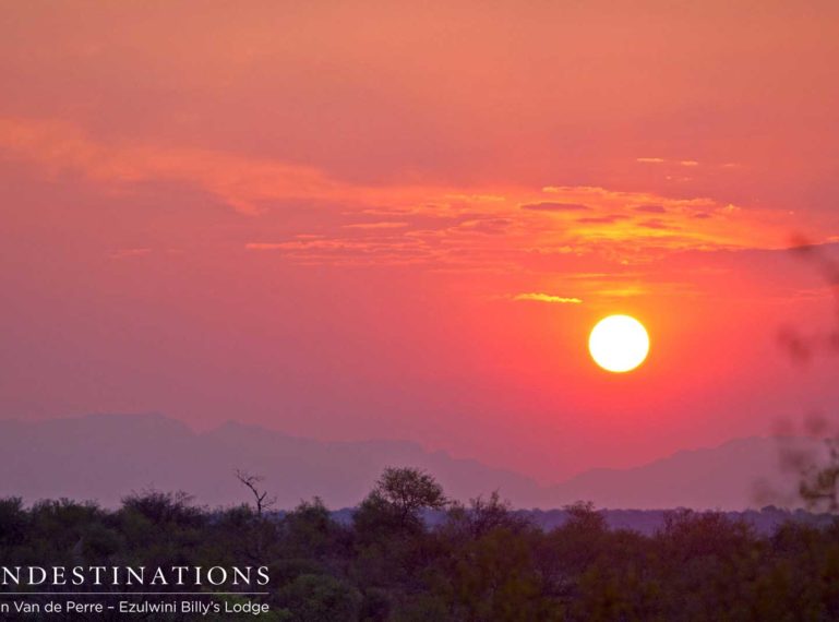 The Epic End to a Day on Safari