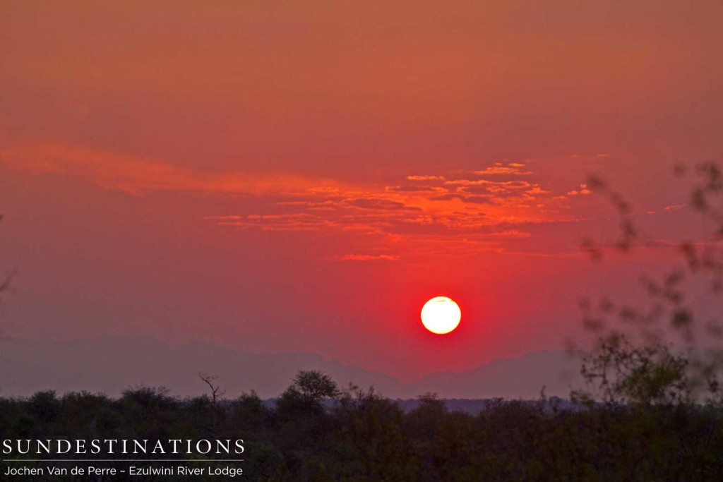 Setting sun over Balule