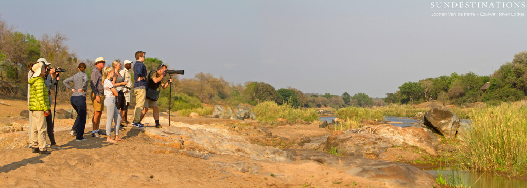 Guests admiring the active birdlife on the Olifants River