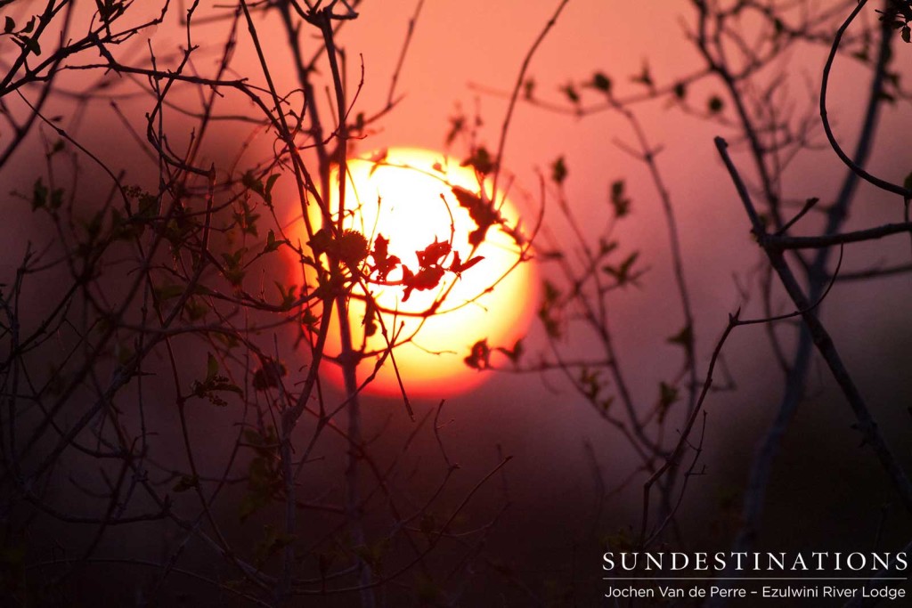 Burning sun setting on the horizon