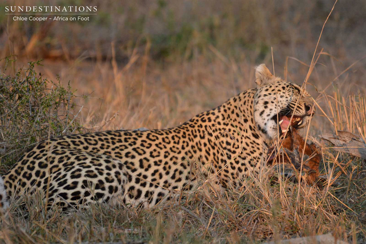 Rhulani is seen cleaning her teeth on a tree stump.
