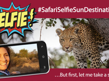 Take a selfie while out on safari at one of the Sun Destinations camps, upload it to your Instagram or Twitter account, tag #SafariSelfieSunDestinations and stand a chance to WIN an epic 6 night Kruger safari for 2 people! …But first, let me take a selfie! HOW TO ENTER Follow us on Instagram (@SunDestinations) and/or Twitter […]