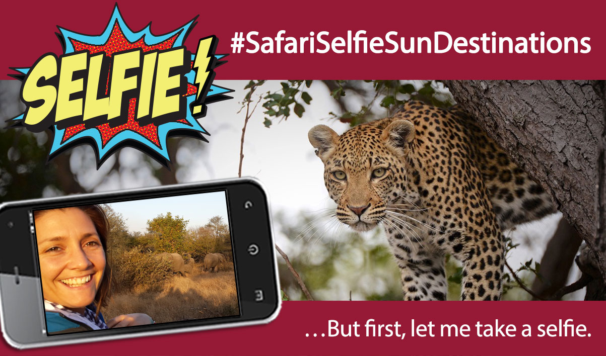 Safari Selfie Sun Destinations