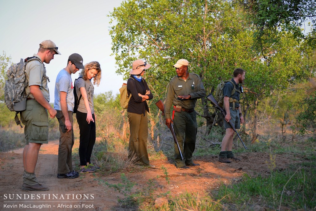 Enoch leading a walking safari