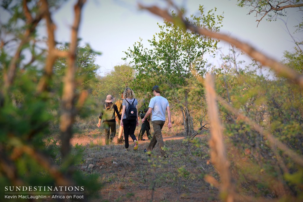 Walking through the Klaserie Private Nature Reserve