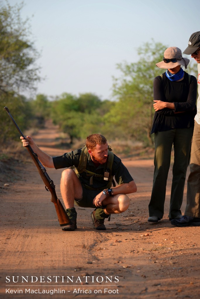 Greg identifying tracks on the ground