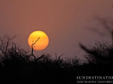 The Balule Nature Reserve is one of the Greater Kruger’s hidden gems. Untouched by commercialism and sharing unfenced borders with the Kruger National Park ; the Balule certainly deserves a place in the crème de la crème  of safari guides. The Balule is home to the big five. The Olifants River courses through the reserve, which creates […]