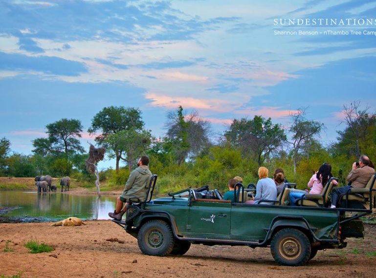 Top 5 Reasons to Stay at nThambo Tree Camp