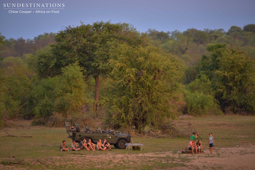Guests relaxing at the surrounded by the wild