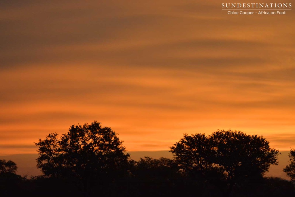 Burning sunset at Bateleur's Nest