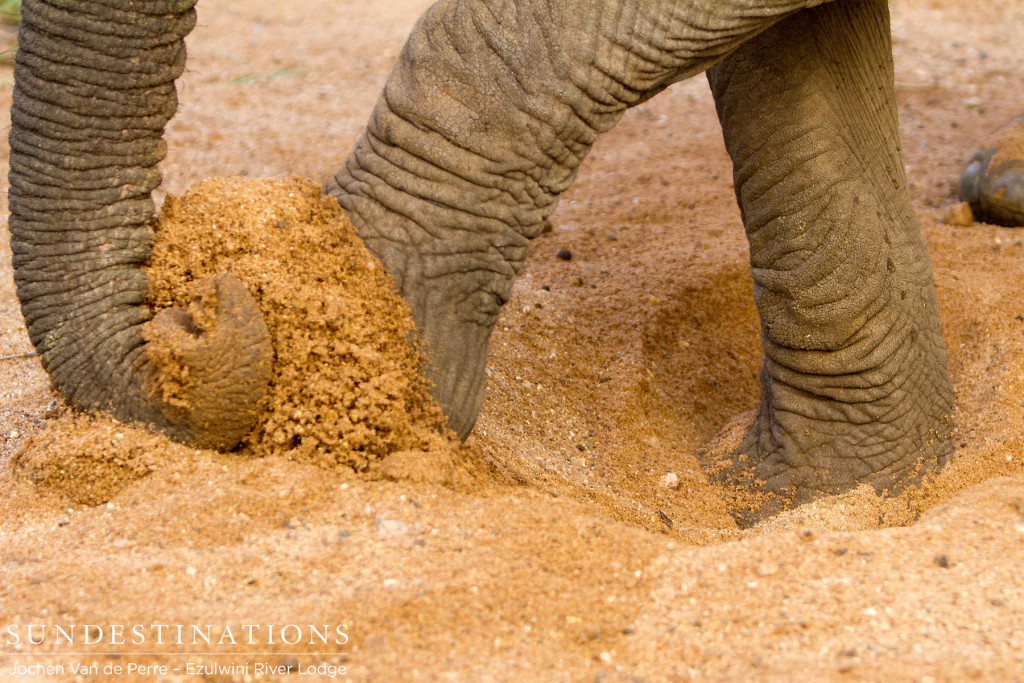 Digging for water