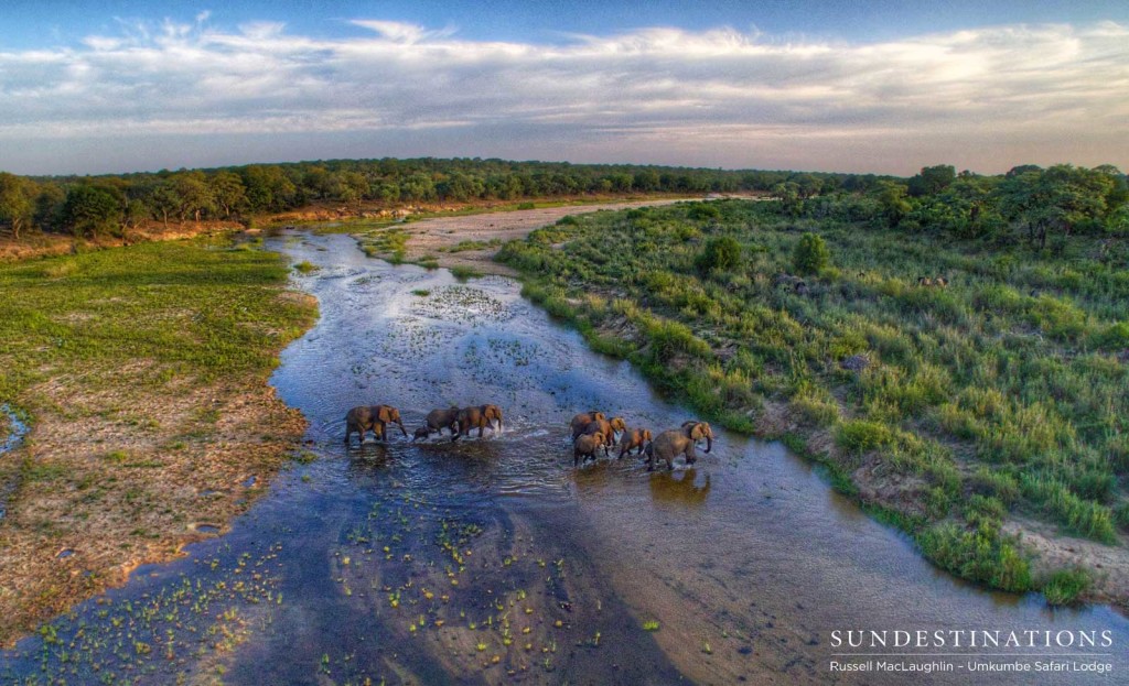 Elephant aerial over Umkumbe